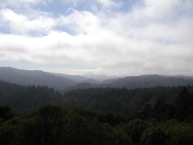 Santa Cruz Mountains