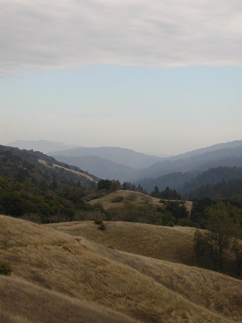 Autumn hillsides