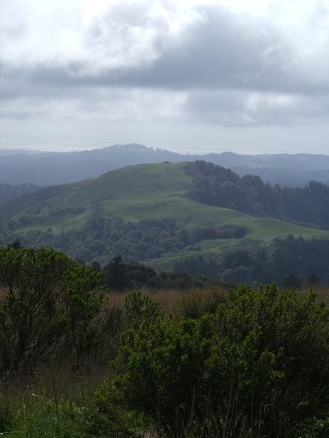 View toward the coast