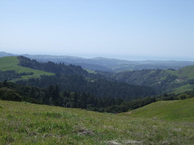 Russian Ridge