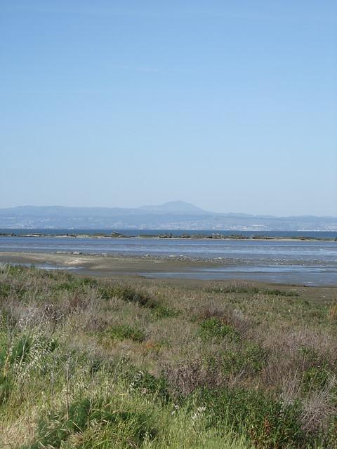 View Northwest from Coyote Point