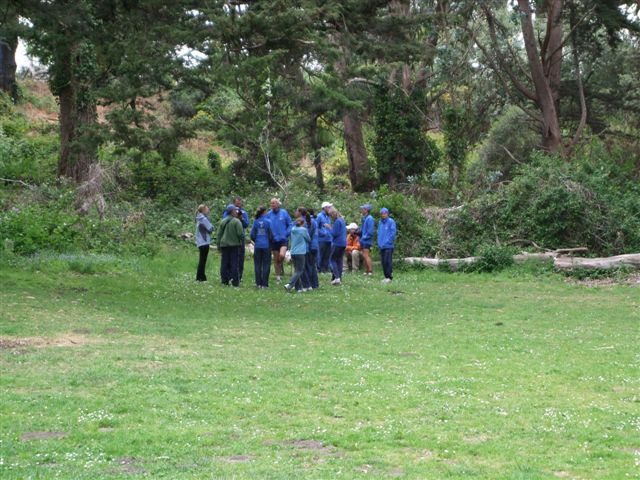 World Harmony Run group by the tree