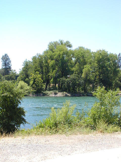 The river