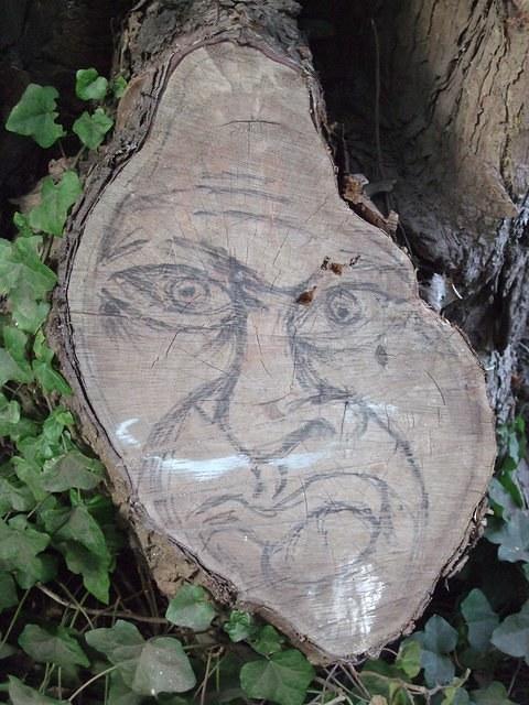 A tree with a face