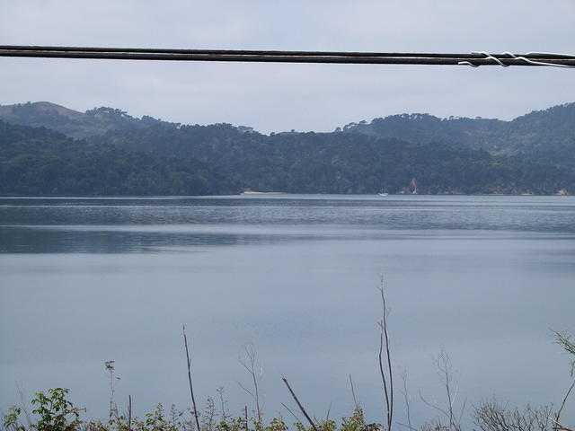 Clear bay