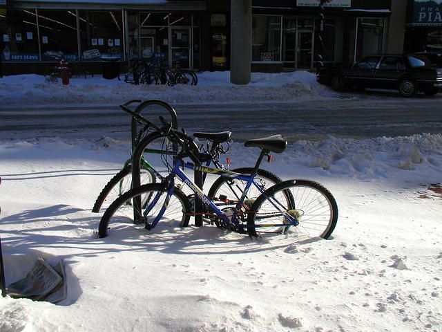 Up to their pedals in snow!