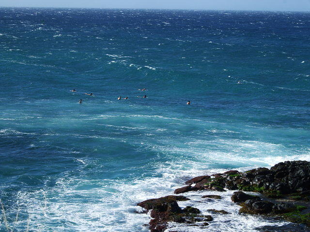 Surfers!