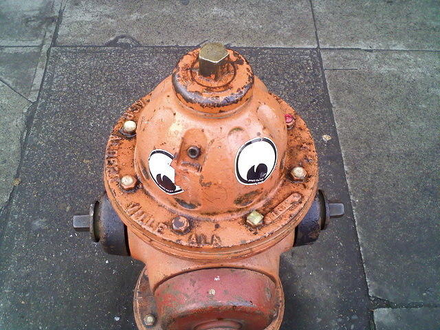 Happy fire hydrant