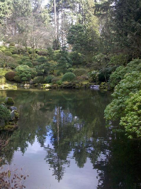 Mirrored garden