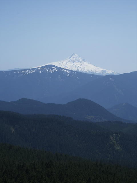 Mt. Hood