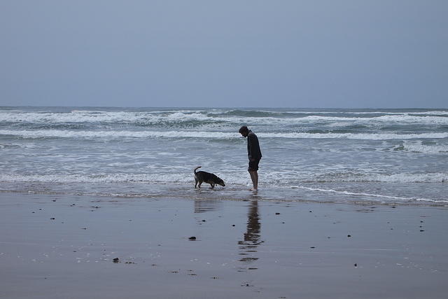 Investigating the sea