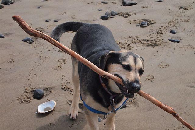 Speak softly and carry a big stick