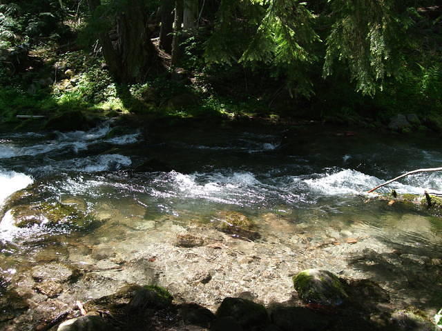 Mountain stream