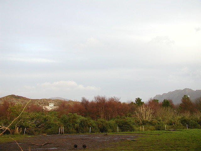 Country near Plockton