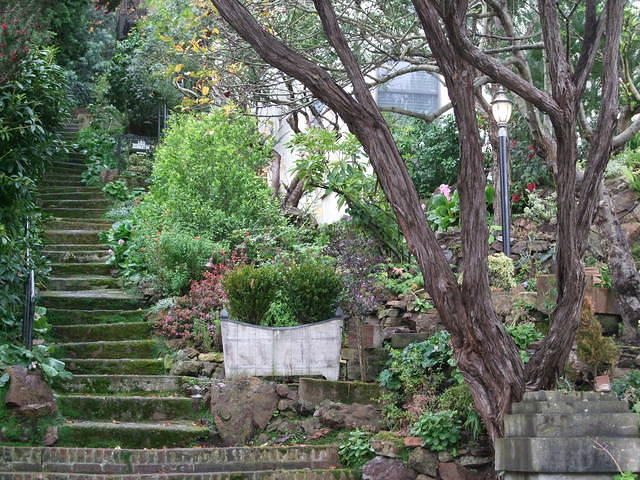 Staircase on Four Hills Stairway Walk