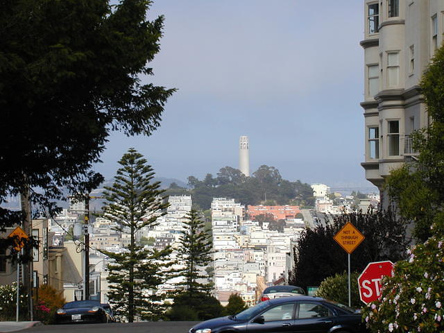 Telegraph Hill