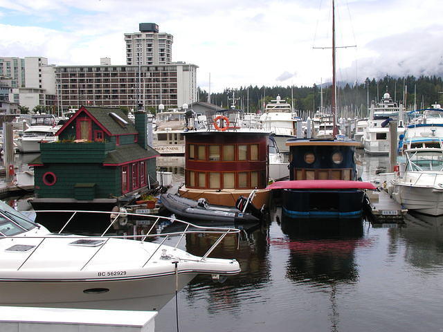 Houseboats of many colors