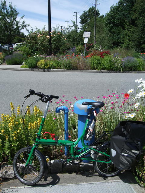 Community garden