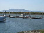 Coyote Point marina