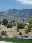 Sandias from Sandia