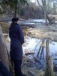 Hester surveys the Canyon