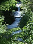 Cascade