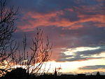 Parkside Terrace Skyscapes