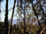 View from Mt. Davidson