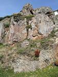 Chert outcropping