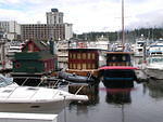 Houseboats of many colors