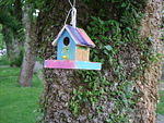 Colorful birdhouse in Grandview-Woodland